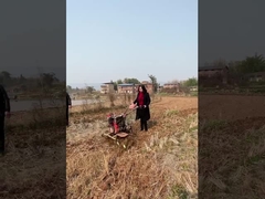 4-WD-Selbstfahrende Fräse mit Direktanschluss#MiniPowerFräse#direktverbundene Fräse